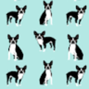 Meet your Posher, Morgan